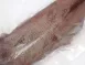 野生透抽