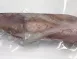 野生透抽