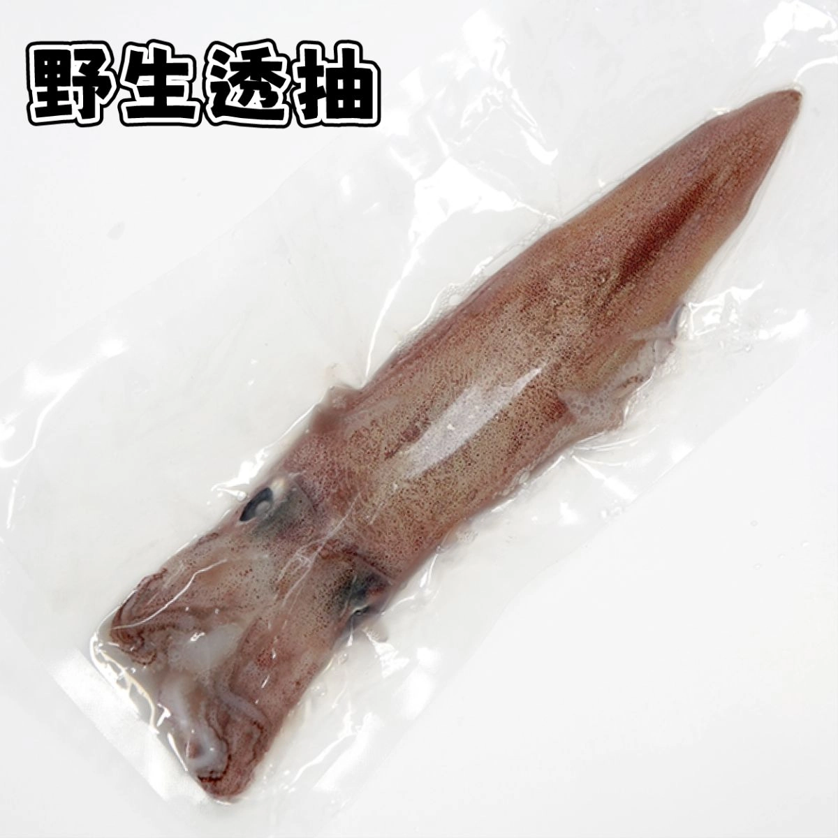 野生透抽