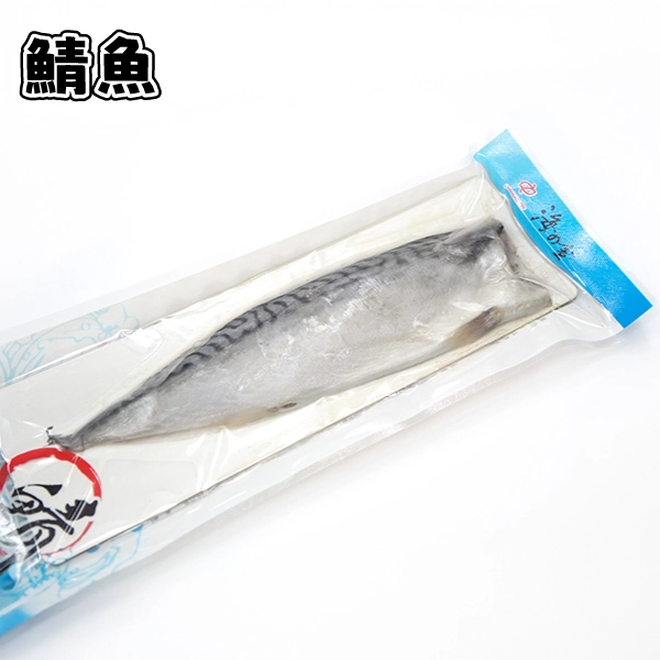 鯖魚