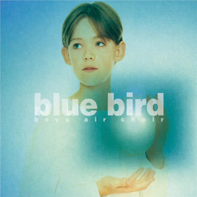 微風少年合唱團/青鳥