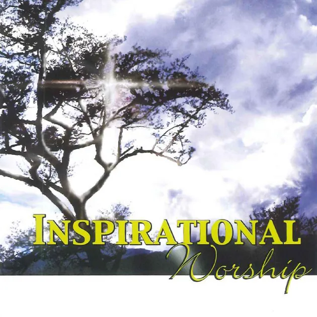 純全敬拜13首經典詩歌1