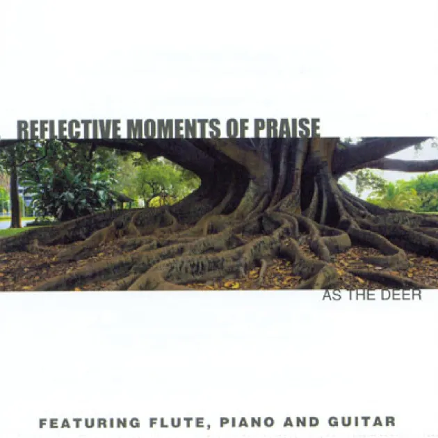 晨星音樂河系列3