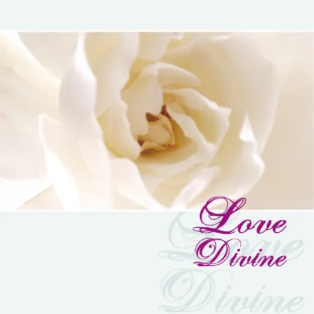 無盡的愛 演奏篇1