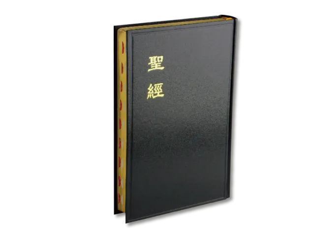 聖經/大字/拇指索引