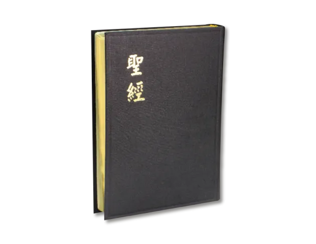 聖經/上帝版/大字/黑邊
