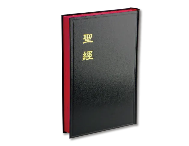 聖經和合本/神版/大字