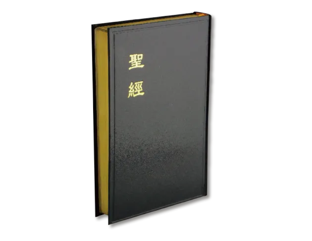 聖經/神版/大字/金邊