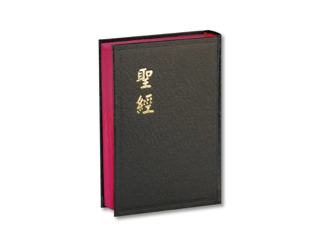 聖經/輕便型/上帝版/紅邊